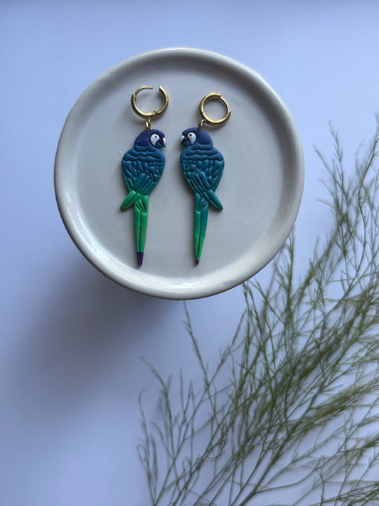 Paradise Parrot Drops
