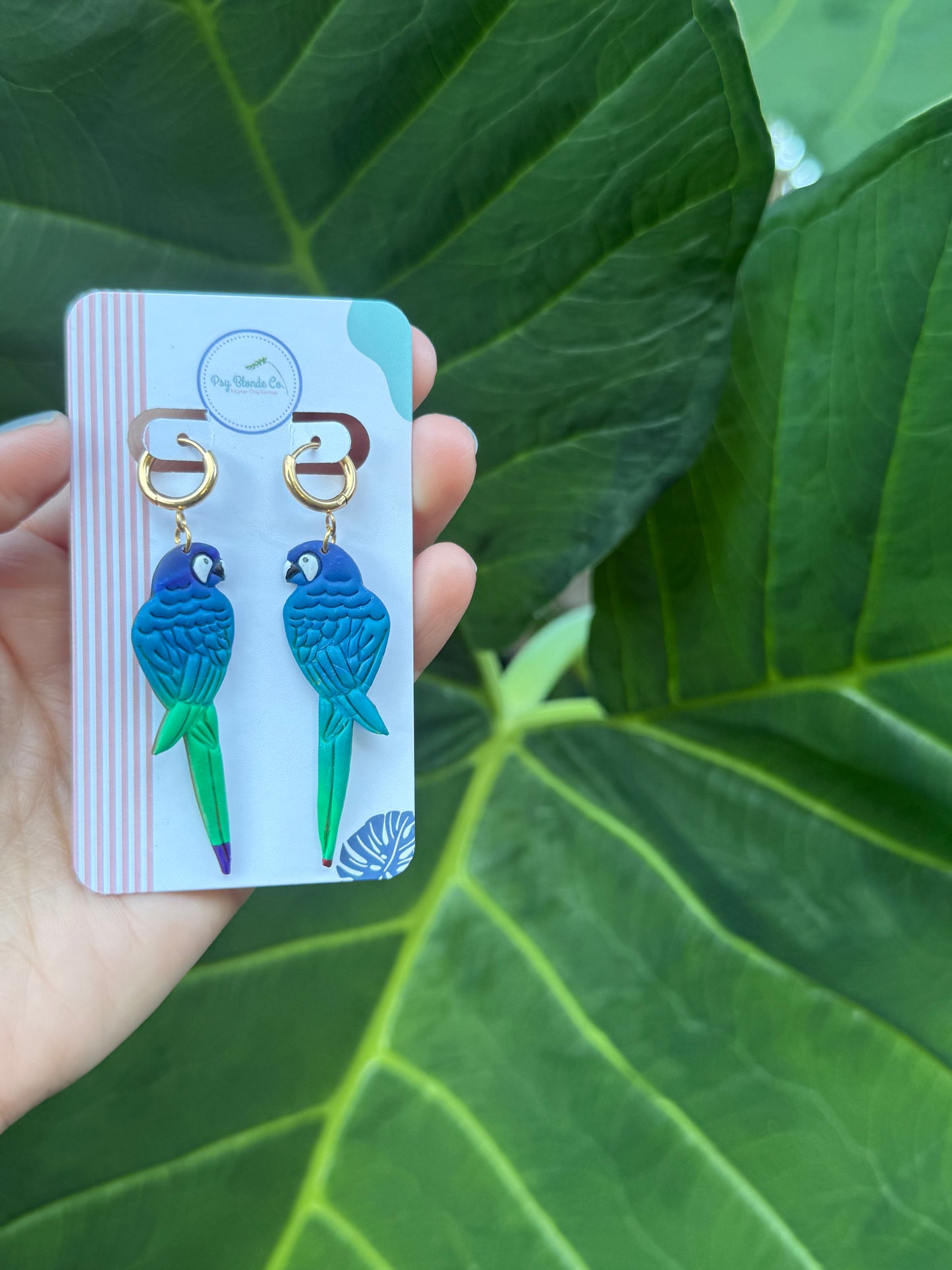 Paradise Parrot Drops
